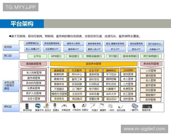 PG电子官方网站人口统计数据的真实性与数据采集方法的优化路径